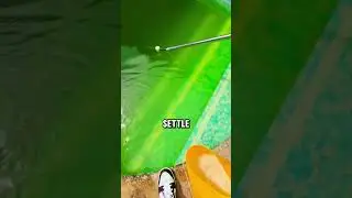 Cleaning a pool after winter #shorts