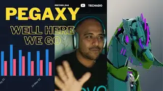 Коллекция PFP Pegaxy! НЕМНОГО СУРОВОЙ ПРАВДЫ | AMA | до сих пор нет партнёра!