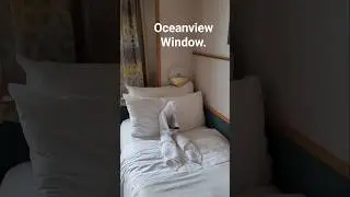 Cruise. Oceanview Room. #travel #cruisetour #cruise