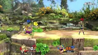 Really weird Smash Bros interaction