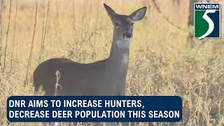 DNR aims to increase hunters, decrease deer population this season