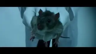 The Mandela Effect - Movie explain