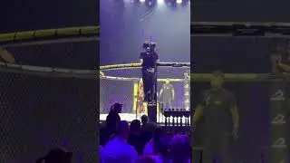 Podczas gali Prime Show MMA kamerzysta 