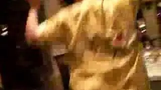 mexico disaster