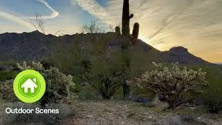 Sonoran Desert Sunrise &ndash; Relaxing Sights and Sounds