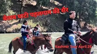 Betab Valley ki Sair aur Pony Ride Adventure in Pahalgam Kashmir #betabvalley #pahalgam #kashmir 