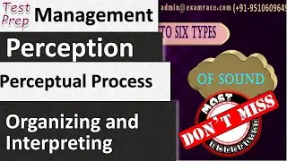Perception: Introduction, Organizing and Interpreting (Management)
