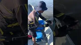 Trip bottom&bottom driff area sungai melayu johor bahru nak turun blh rojer2 (0149114606 along)