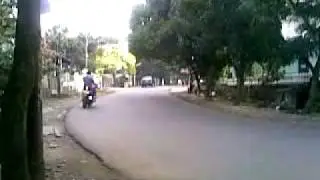 my honda tiger revolution