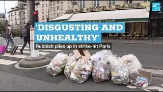 &lsquo;Disgusting and unhealthy&rsquo;: rubbish piles up in strike-hit Paris