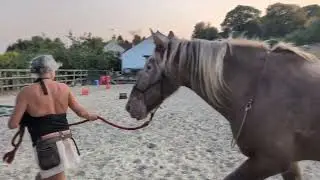 August Equigility 