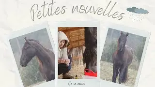 Des petites nouvelles - Vlog partie 4