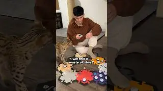 Teaching My Cat To Be Happy