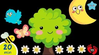 Nature Fun | Baby Sensory High Contrast Animals
