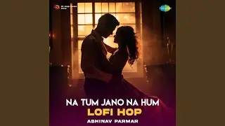 Na Tum Jano Na Hum - Lofi Hop