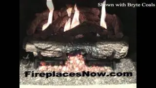Peterson G10 Burner with Bryte Coals - Vent Free