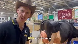 Still Renting Your Energy? 🐄💸 | Cash-Flow Positive Solar for Dairy Farms
