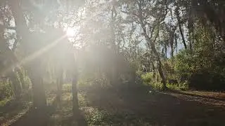Here comes the Sun. I mean the Sugar Express