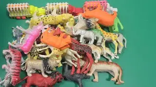 ASMR Unboxing🎁🐄🐇: Safari Plastic Animals Review & Collectible Safari Toys