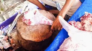 Halal Meat cutting । Fresh Goat meat cutting bd pro 
