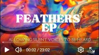 Feathers Carousel