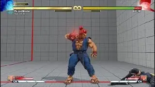 Just a quick random Akuma v-skill 2 combo
