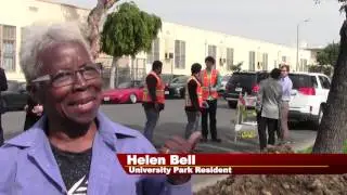 Rain Water Gardens Construction Begins at University Park