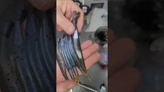 Fat Guys Fishing 5-inch Fluke and Tail molds