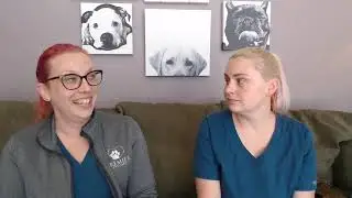 Premier Pet Care talks about pet nutrition!