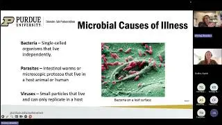 Produce Safety for School Gardens and Hydroponic Towers Webinar