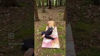 Prokřupni ES&Iacute;ČKA | #sijoint