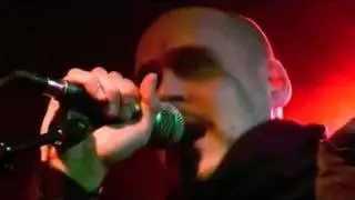 Black Magic Fools - Pestvisan (Live)