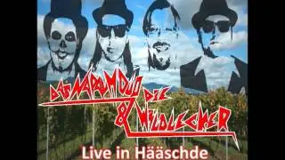 Das Napalmduo & Die Wildlecker - 