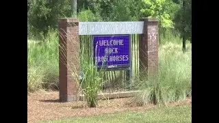 Parents raise concerns of safety at Philip Simmons High School