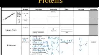 CP Biology Protein Video