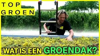 Wat is een groendak?