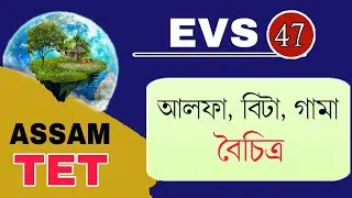 Assam TET 2021 || Alpha, Beta, Gamma Diversity || Environmental Studies || Video 47