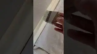 What brushes do you use for trim ?