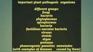 Lecture-6 Important plant pathogenic organisms:fungi,bacteria,phanerogamc etc.& examples of disease