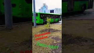 автобус #youtubeshorts #рекомендации #автобус #тюмень #bus #video #топ #подпишись #лиаз #edit #prank