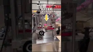 Garlic Clove Bottle Filling Packing Line