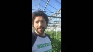 Behind the scenes of a British flower farm, with Ben Cross