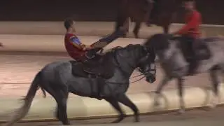 Spectacle 2015 de l’Ecole d’Art Equestre de Marrakech