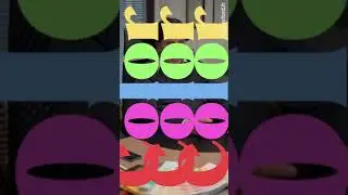 ColorConsulting + Rutherford + IntelliTrax 2 Pro