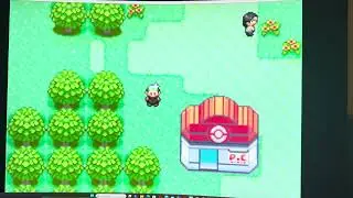 Suite de l’aventure Pokémon émeraude kaizo