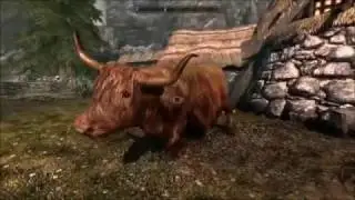OverTheGun  - Skyrim Tribute