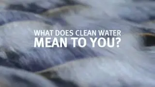 Aveda- Earth Month 2015