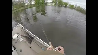 Tip on working glides for spring muskies in weeds.