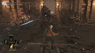 Dark Souls Archthrones - Necromancer Obediah Boss Fight