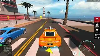 All Races in Driving Simulator  - Roblox